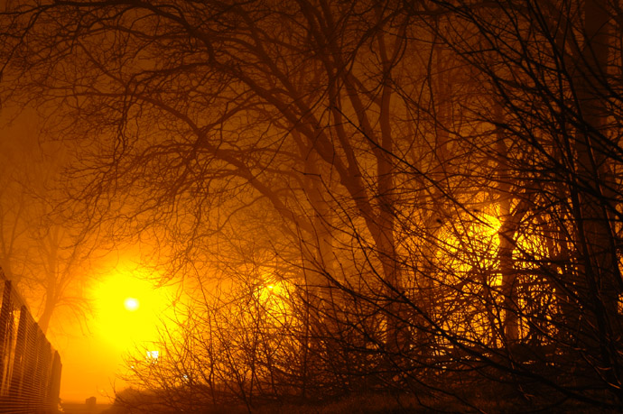 DSC 2555